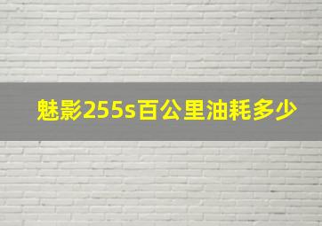 魅影255s百公里油耗多少