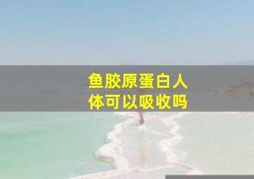 鱼胶原蛋白人体可以吸收吗