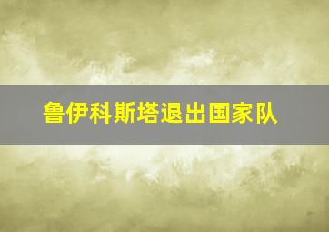 鲁伊科斯塔退出国家队