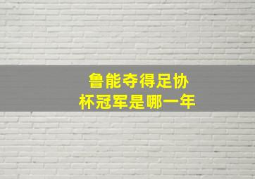 鲁能夺得足协杯冠军是哪一年