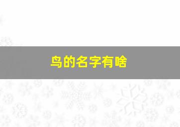 鸟的名字有啥