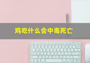 鸡吃什么会中毒死亡