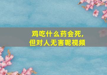 鸡吃什么药会死,但对人无害呢视频