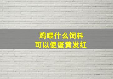 鸡喂什么饲料可以使蛋黄发红