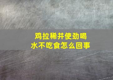 鸡拉稀并使劲喝水不吃食怎么回事