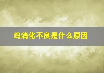 鸡消化不良是什么原因