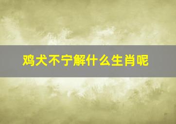 鸡犬不宁解什么生肖呢