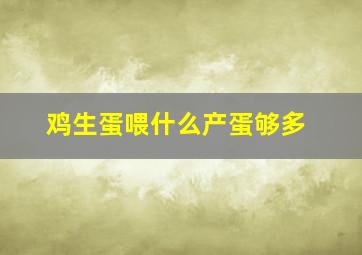 鸡生蛋喂什么产蛋够多