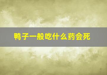 鸭子一般吃什么药会死