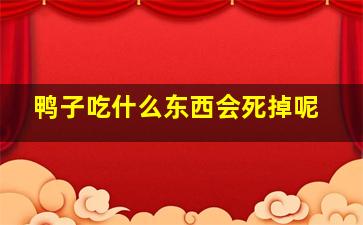 鸭子吃什么东西会死掉呢