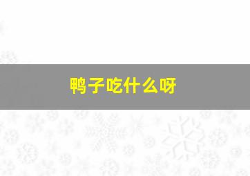 鸭子吃什么呀