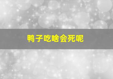 鸭子吃啥会死呢