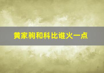 黄家驹和科比谁火一点