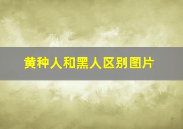 黄种人和黑人区别图片