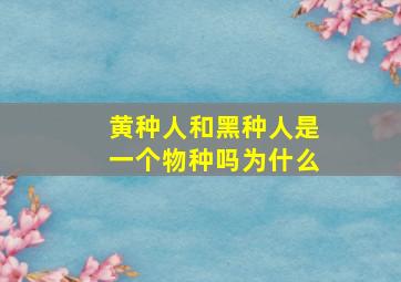 黄种人和黑种人是一个物种吗为什么