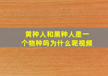 黄种人和黑种人是一个物种吗为什么呢视频