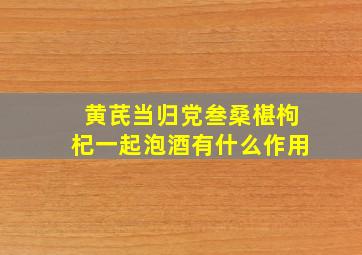 黄芪当归党叁桑椹枸杞一起泡酒有什么作用