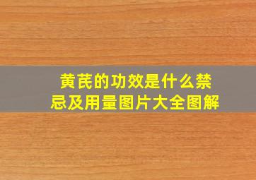 黄芪的功效是什么禁忌及用量图片大全图解