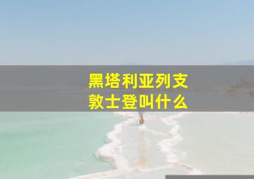 黑塔利亚列支敦士登叫什么