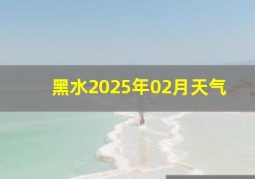 黑水2025年02月天气