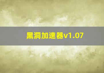 黑洞加速器v1.07