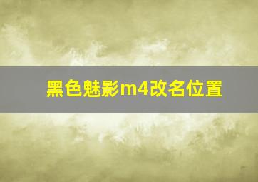 黑色魅影m4改名位置