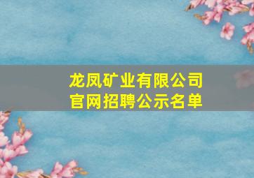 龙凤矿业有限公司官网招聘公示名单