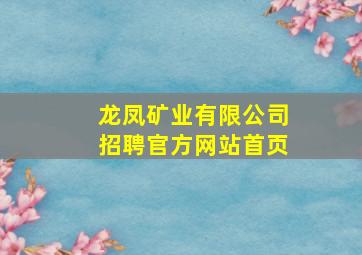 龙凤矿业有限公司招聘官方网站首页