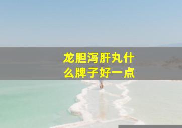 龙胆泻肝丸什么牌子好一点