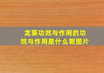 龙葵功效与作用的功效与作用是什么呢图片