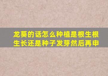 龙葵的话怎么种植是根生根生长还是种子发芽然后再申