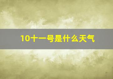 10十一号是什么天气