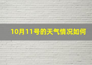 10月11号的天气情况如何