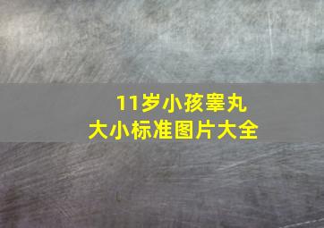 11岁小孩睾丸大小标准图片大全