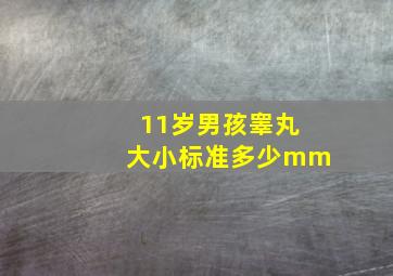 11岁男孩睾丸大小标准多少mm