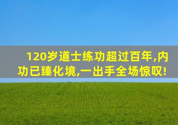 120岁道士练功超过百年,内功已臻化境,一出手全场惊叹!