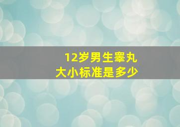 12岁男生睾丸大小标准是多少