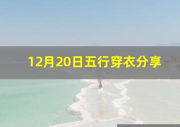 12月20日五行穿衣分享