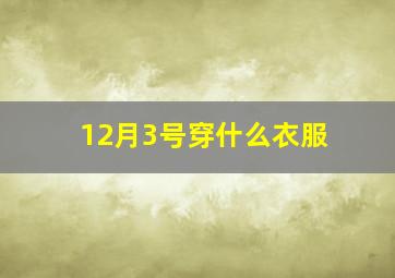 12月3号穿什么衣服