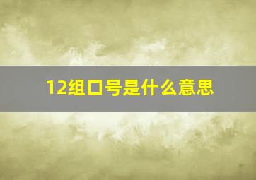 12组口号是什么意思