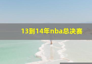 13到14年nba总决赛