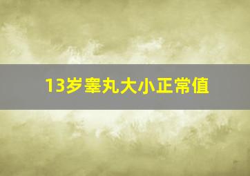 13岁睾丸大小正常值