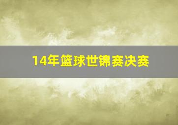 14年篮球世锦赛决赛