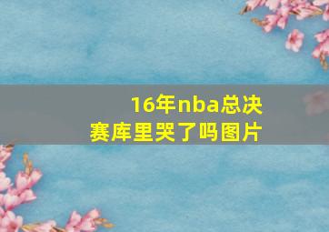 16年nba总决赛库里哭了吗图片