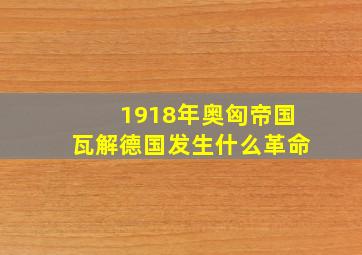 1918年奥匈帝国瓦解德国发生什么革命