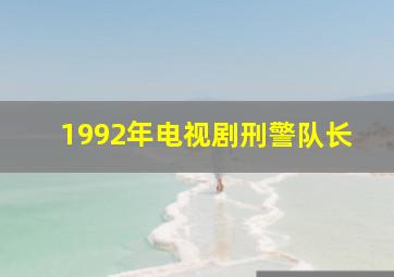 1992年电视剧刑警队长