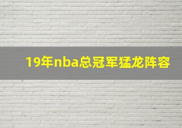 19年nba总冠军猛龙阵容