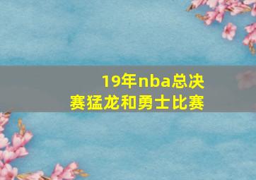 19年nba总决赛猛龙和勇士比赛