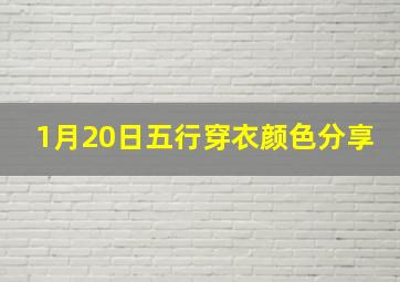 1月20日五行穿衣颜色分享