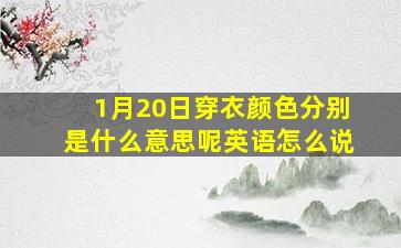 1月20日穿衣颜色分别是什么意思呢英语怎么说